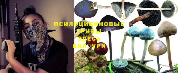mix Баксан