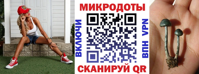 Галлюциногенные грибы мухоморы  Чехов 